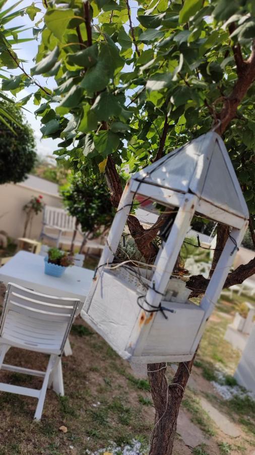 Casa Vacanze Olbia Exterior foto